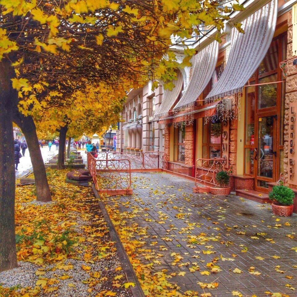 Apartment In The City Center Ивано-Франковск Экстерьер фото