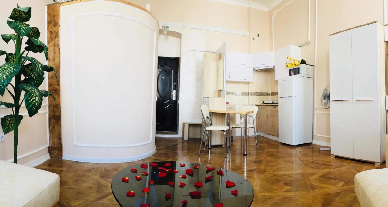 Apartment In The City Center Ивано-Франковск Экстерьер фото
